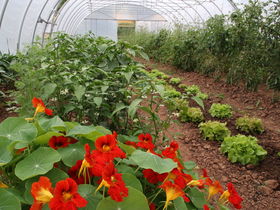 Landidyll AktivMomente 4-Gang