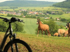 Landidyll zum Kennenlernen in der Pfalz inkl. 3-Gang