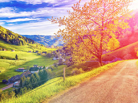 3 Tage Auszeit am See – Natur & Regensburg erleben