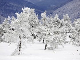 Winterfreude in Willingen / Sauerland