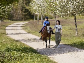 Silvesterreise ins Van der Valk Resort Linstow