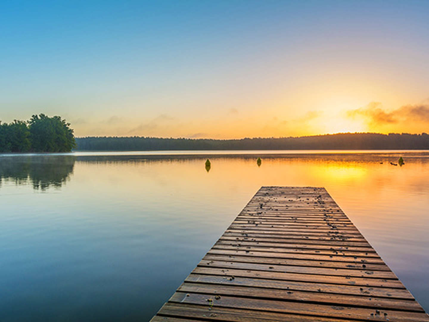 15% Last Minute Exklusiv Special im Resort Linstow - inkl. Halbpension