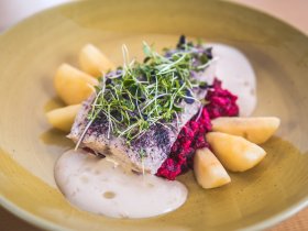 Frühlingserwachen in Binz