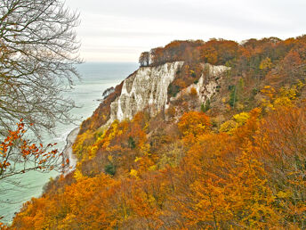 Goldener Herbst auf der Insel Rügen 2026
