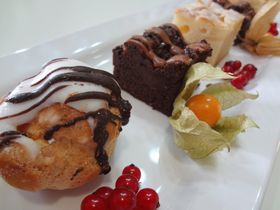 Schiff AHOI! Regensburg von der Donau aus Entdecken- 6 Tage