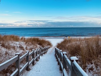 Immun am Meer
