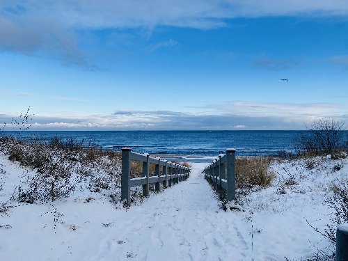 Immun-am-Meer