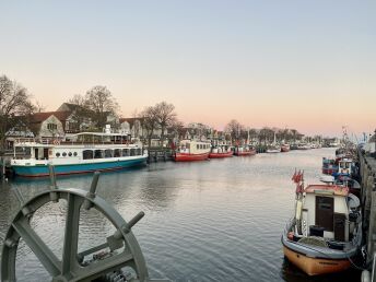 Bild 37 von 37
