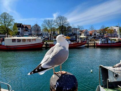 Tagestrip an die Ostsee