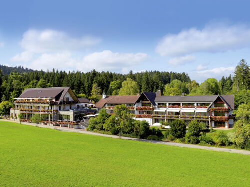Hotel Grüner Wald