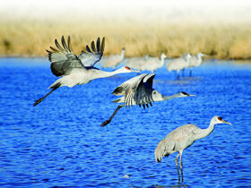 6 Tage Genuß auf dem Darß  