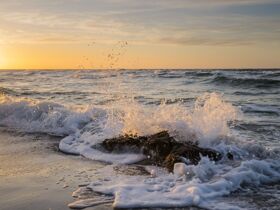 6 Tage Genuß auf dem Darß  