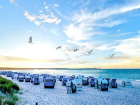 6 Tage Genuß auf dem Darß  