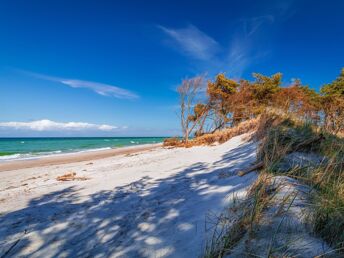 Bild 28 von 36
