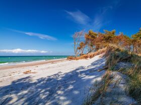 6 Tage Genuß auf dem Darß  