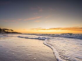 6 Tage Genuß auf dem Darß  