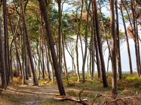 6 Tage Genuß auf dem Darß  