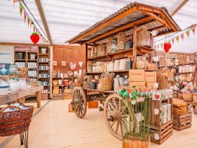 4 Entdeckertage im Harz inkl. Halbpension
