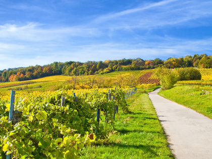 Lindes Wochenende in der Pfalz