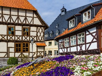 Kunterbunt den Harz erleben