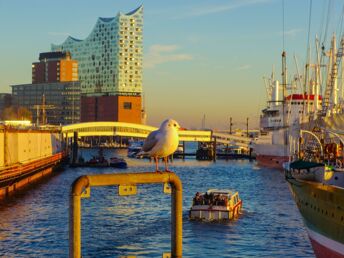 Bild 30 von 35