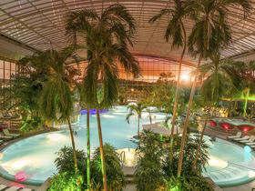 Blütenzauber im Allgäu