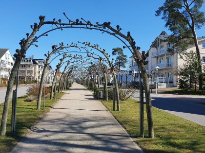 5 Tage Ostseeurlaub auf Rügen inkl. Abendessen