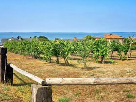 In der Nachsaison günstig auf die Insel Usedom im 2-Raum-Appartement (3Ü.)