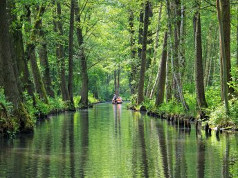 Kurzurlaub in Cottbus: das Tor zum Spreewald | 5 Tage