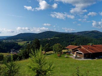 Bild 33 von 37