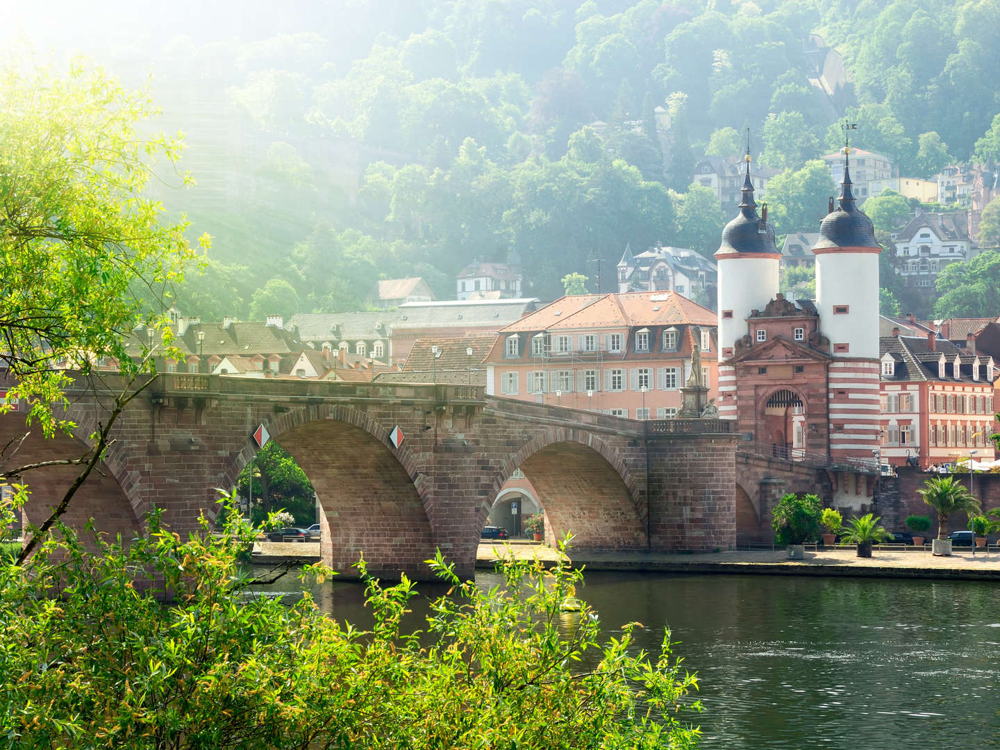Toskana Summer Special bei Heidelberg