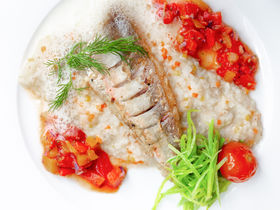 Familien- Special in Osnabrück