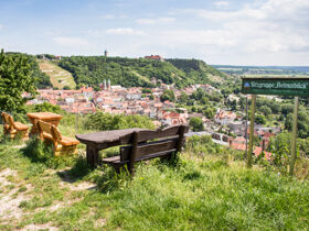 Den Naumburger Dom entdecken - 3 Tage Kurzurlaub inkl. Halbpension & Sektkellerei Freyburg