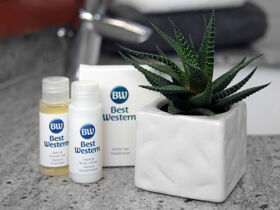 Den Naumburger Dom entdecken - 3 Tage Kurzurlaub inkl. Halbpension & Sektkellerei Freyburg