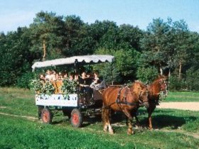 3 Tage Wellnessauszeit am Schweriner See