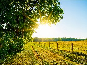 Münster und Münsterland zum Kennenlernen