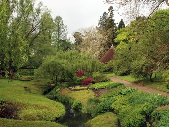 Erholung pur - Botanischer Garten Rostock besuchen