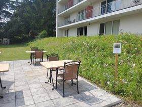 Natur pur - 4 Tage entspannen inkl. Massagen