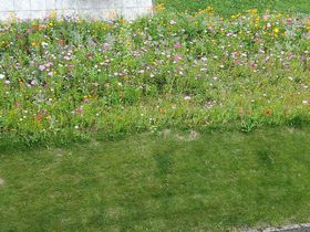 Natur pur - 4 Tage entspannen inkl. Massagen