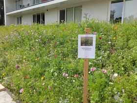 Natur pur - 4 Tage entspannen inkl. Massagen