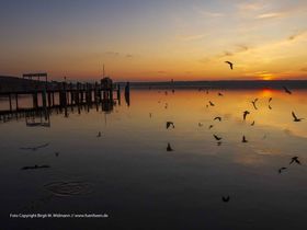 Rund um die Starnberg/Ammersee Region inkl. Schifffahrt