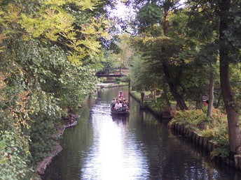 Bild 9 von 34