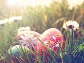 Ostern in Spreewald & Lausitz - 4 Nächte