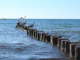 Willkommen auf der Halbinsel Fischland-Darß-Zingst