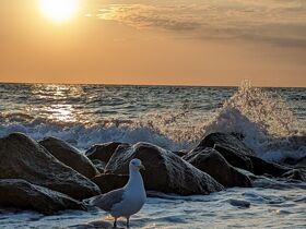 Kurzurlaub am Meer inkl. Abendessen