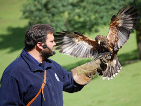 Silvester in der Lüneburger Heide