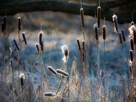 Winterträume im Spreewald 2 Nächte