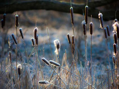 Winterträume im Spreewald 4 Nächte  2026