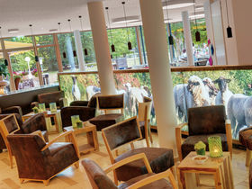 Kurztrip nach Trier inkl. 3-Gang-Menü 