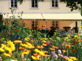 Kurztrip nach Trier inkl. 3-Gang-Menü 